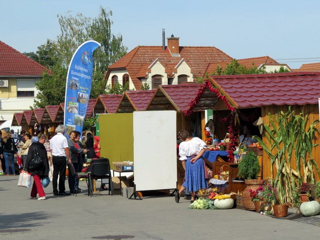 Megyei Közfoglalkoztatási Kiállítás 029